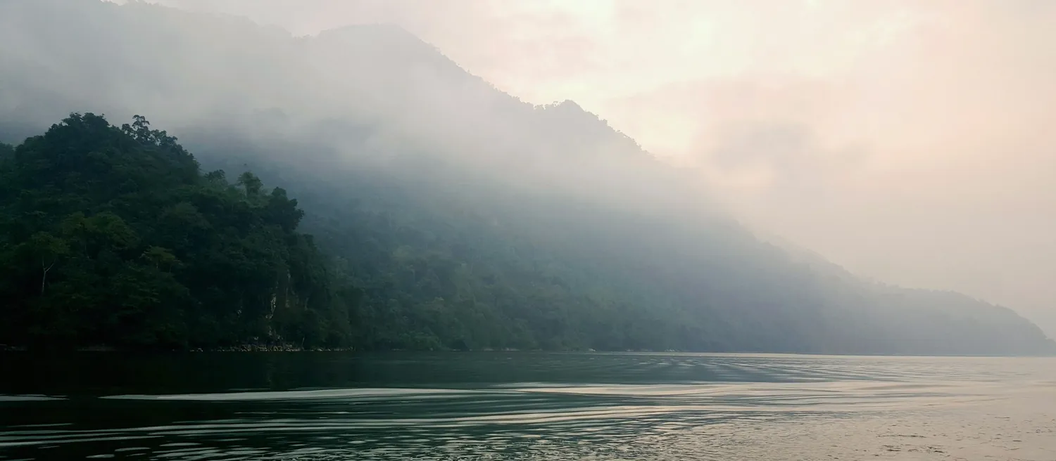 Lac sous une brume rose au petit matin