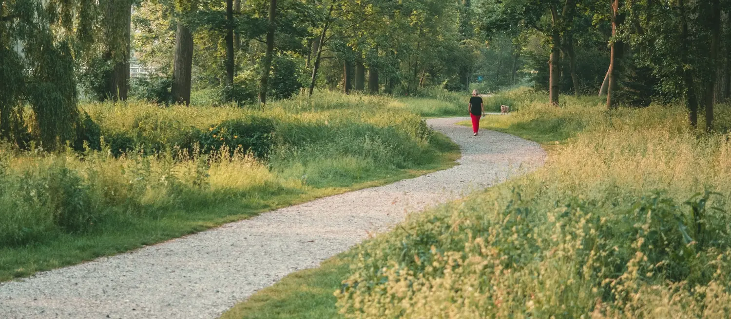 Sentier de terre dans un parc boisé