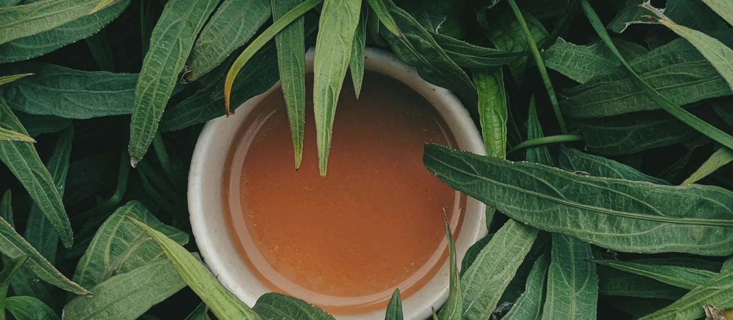 Tasse de thé posée au milieu de feuilles vertes